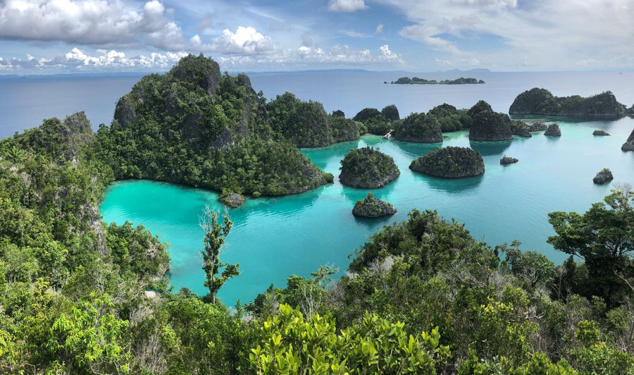 Raja Ampat Islands