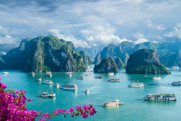 Vietnam Unlimited Data eSIM