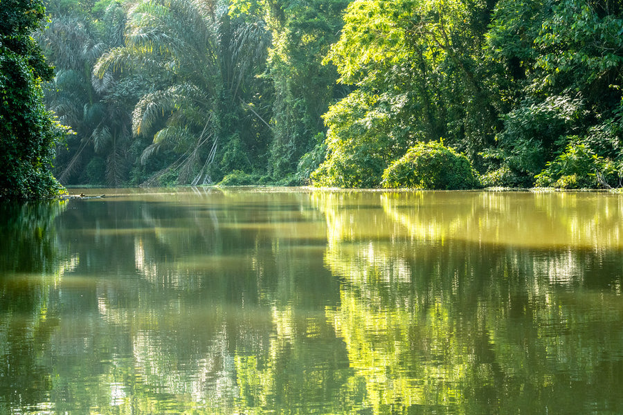 Tortuguero National Park
