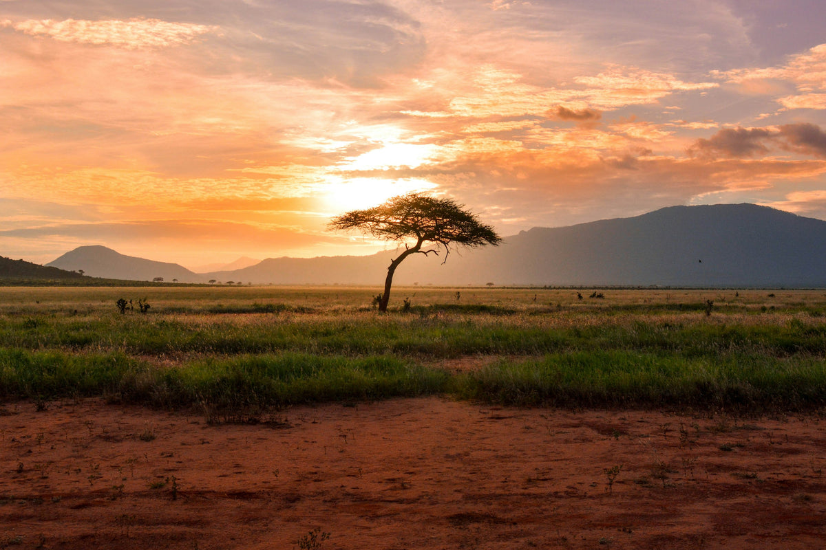 Africa (25+ areas)