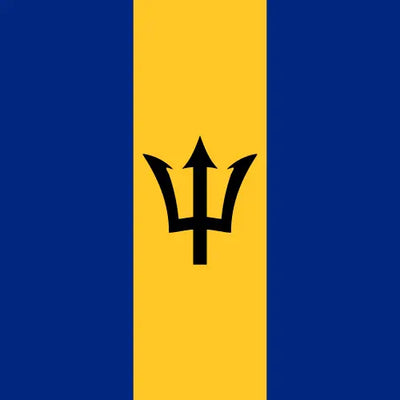 Barbados unlimited daily eSIM