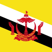 Brunei Darussalam Unlimited Data eSIM