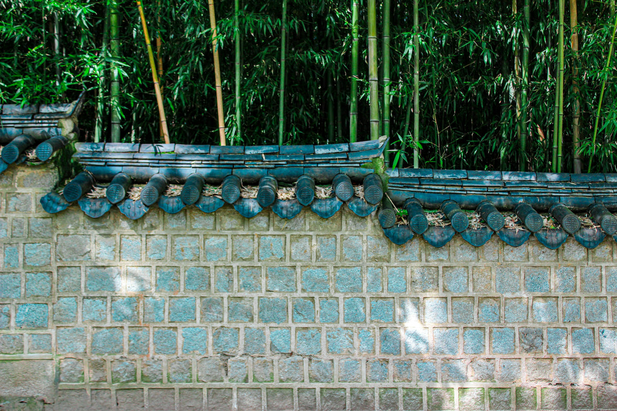 South Korea China Japan
