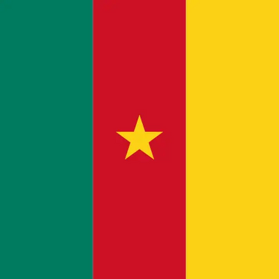 Cameroon unlimited daily eSIM