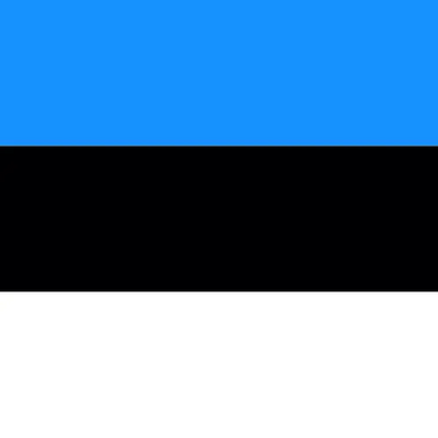 Estonia unlimited daily eSIM