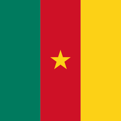 {locationCode=CM, locationName=Cameroon, locationLogo=/img/flags/cm.png, operatorList=[Ljava.lang.Object;@29b0aba9}