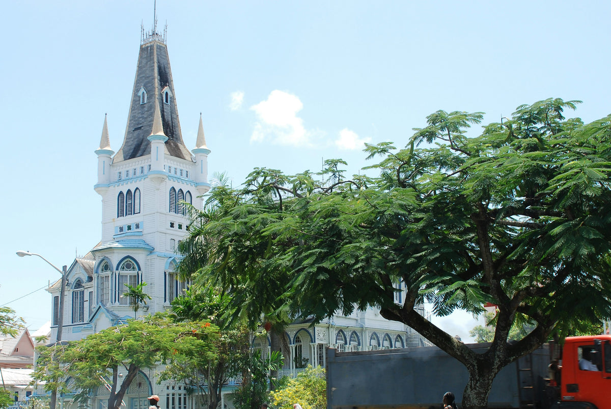 Guyana Unlimited Data eSIM