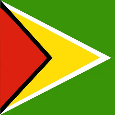 Guyana unlimited daily eSIM