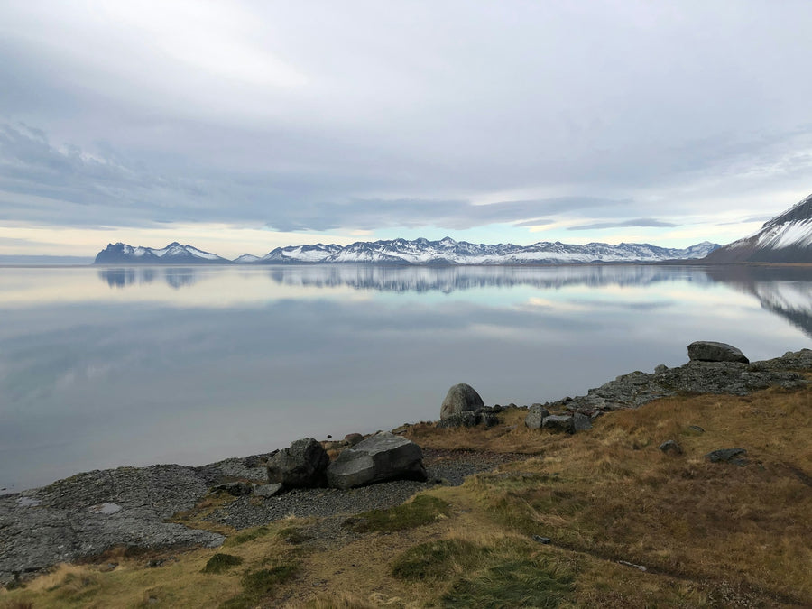 Höfn