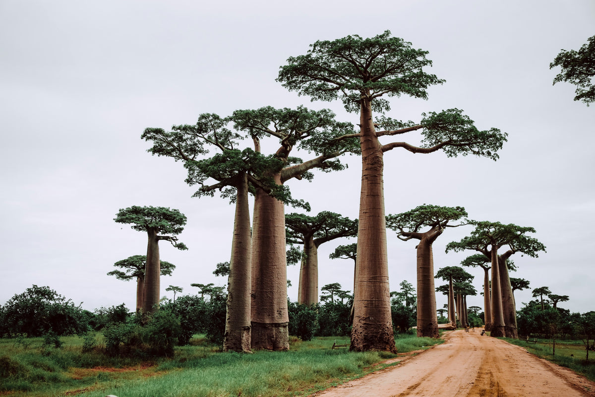Madagascar eSIM