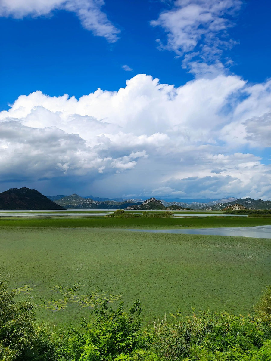 Lake Skadar National Park