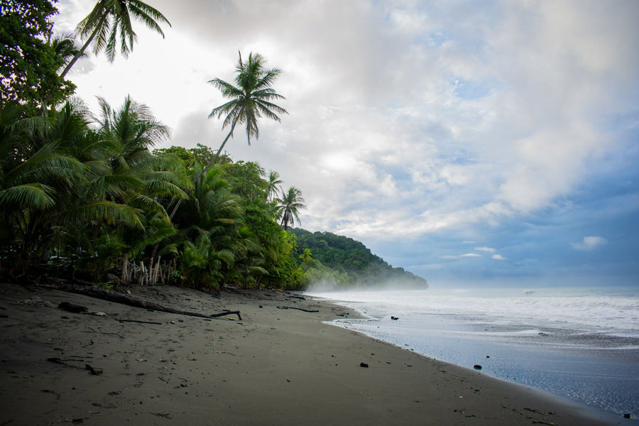 Uvita