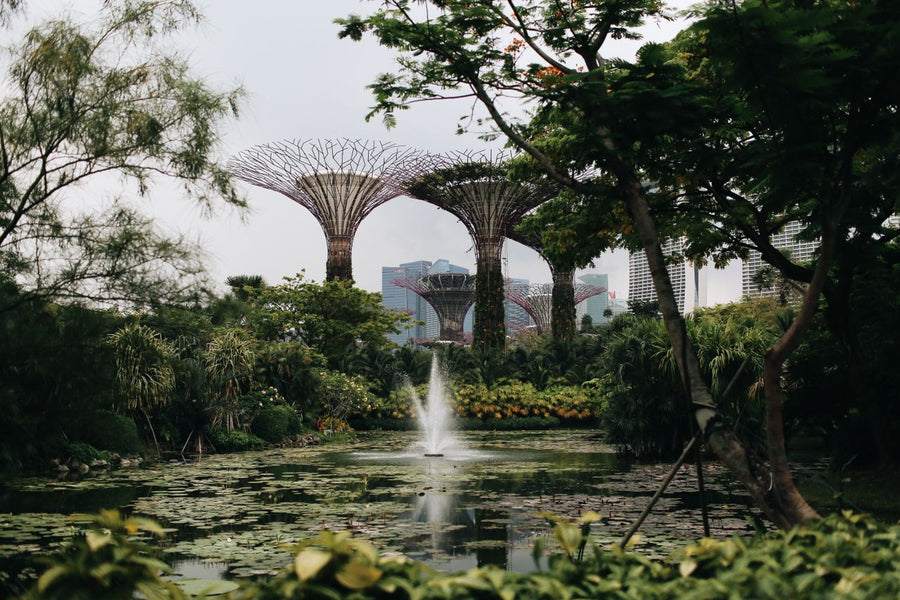 Gardens by the Bay