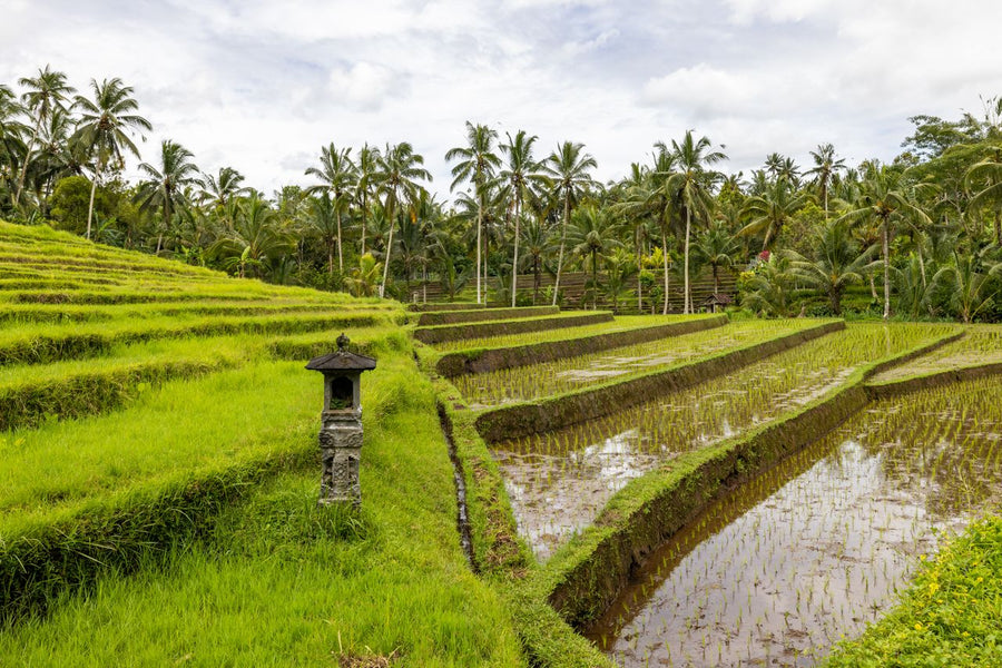 Ubud