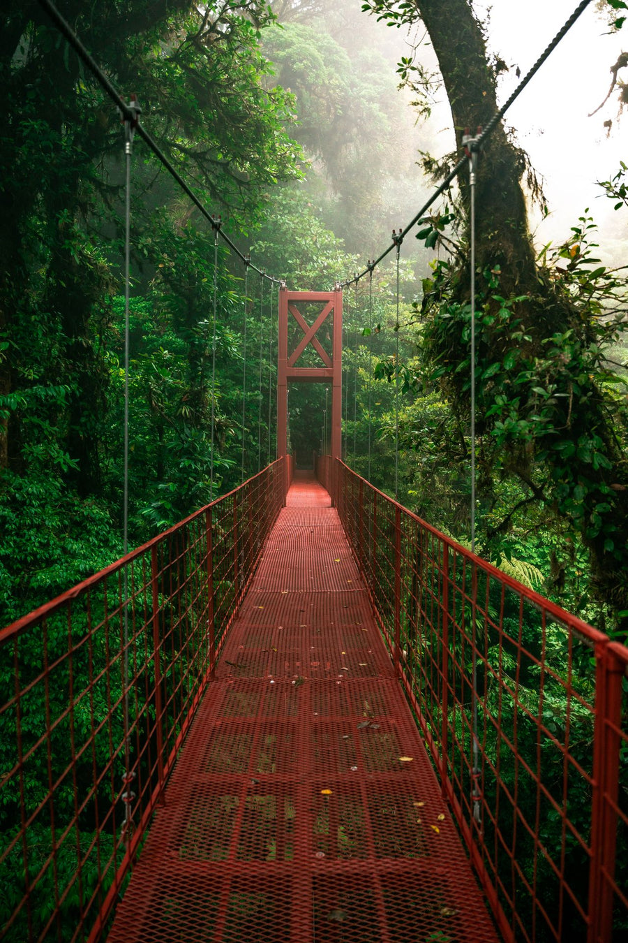 Monteverde