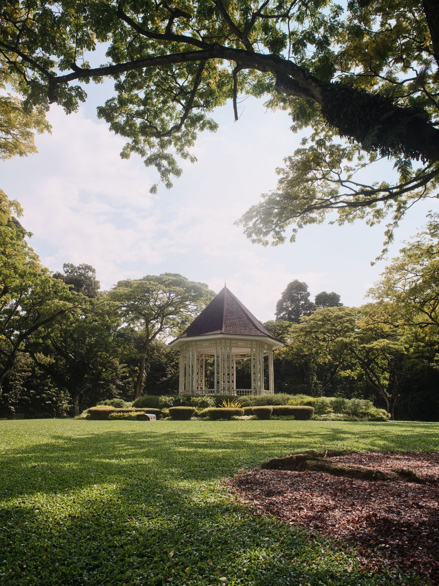 Singapore Botanic Gardens
