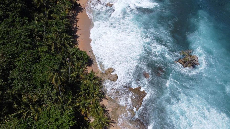 Cahuita National Park
