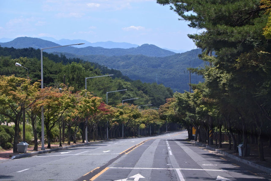 Daegu