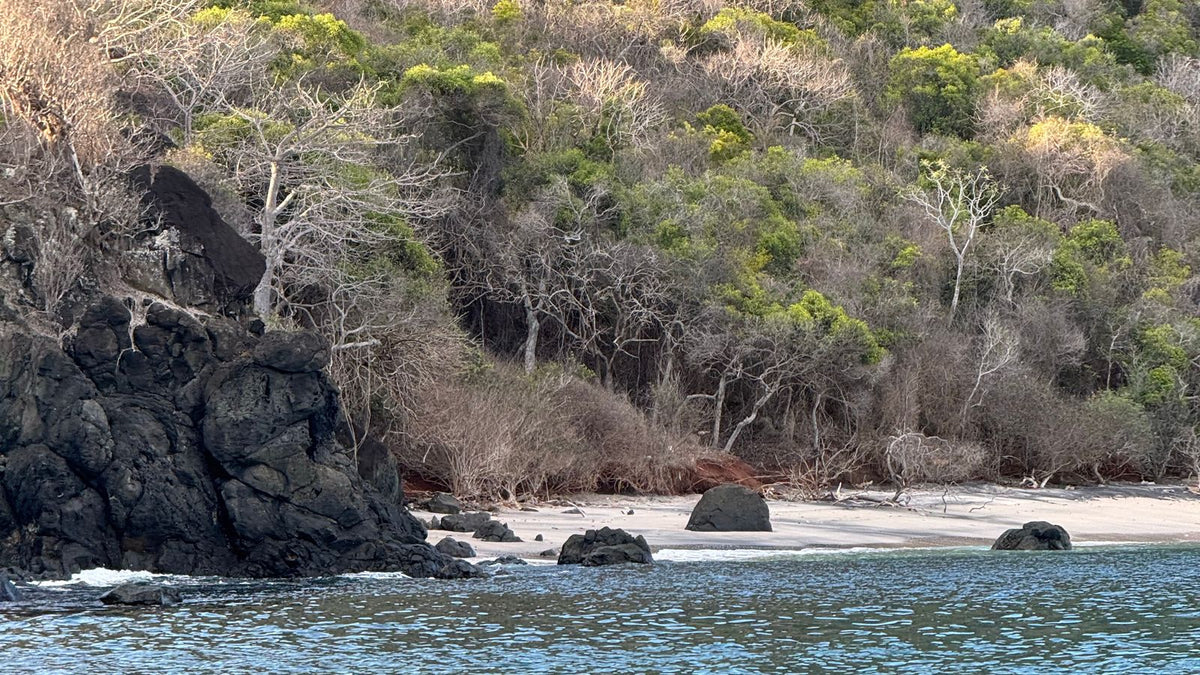Mayotte eSIM