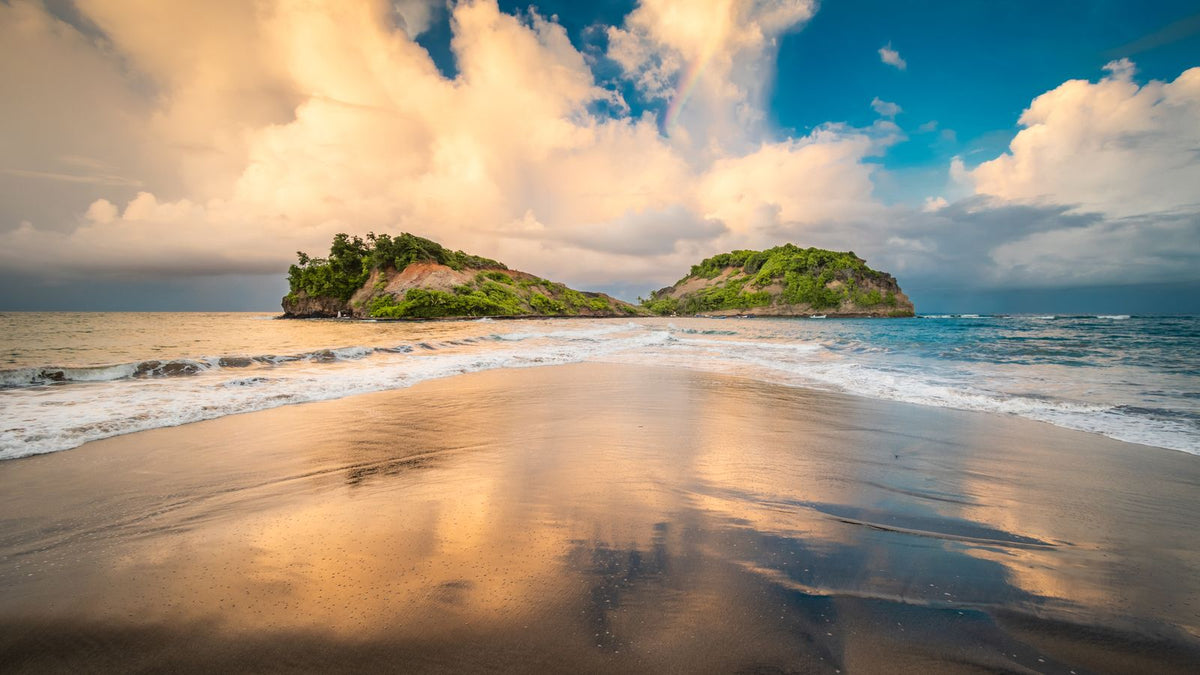 Martinique eSIM