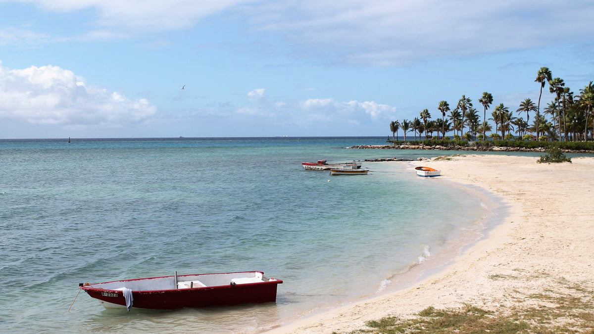 Aruba eSIM