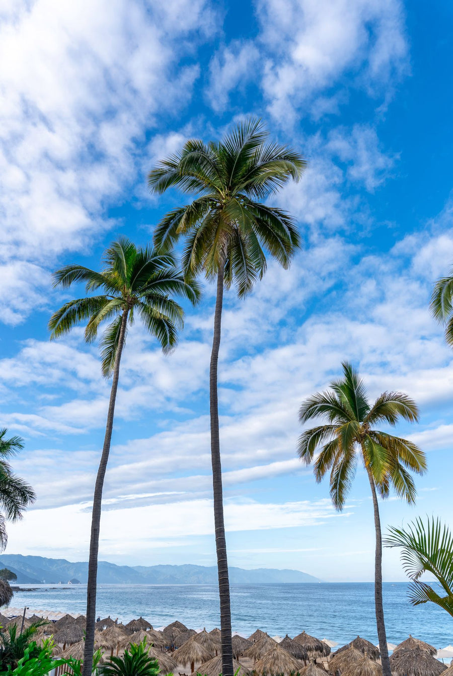 Puerto Vallarta
