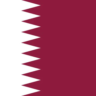 Qatar unlimited daily eSIM