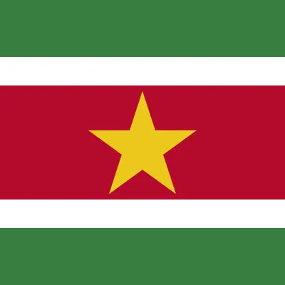 Suriname unlimited daily eSIM