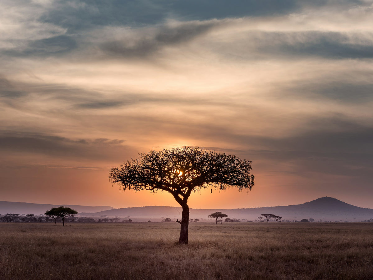 Tanzania eSIM